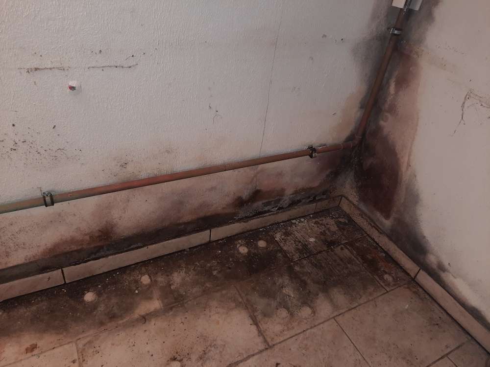 Bildet viser mørke skjolder i et hjørne i en kjeller. Fuktproblemet muggsopp vises både på vegg og gulv.